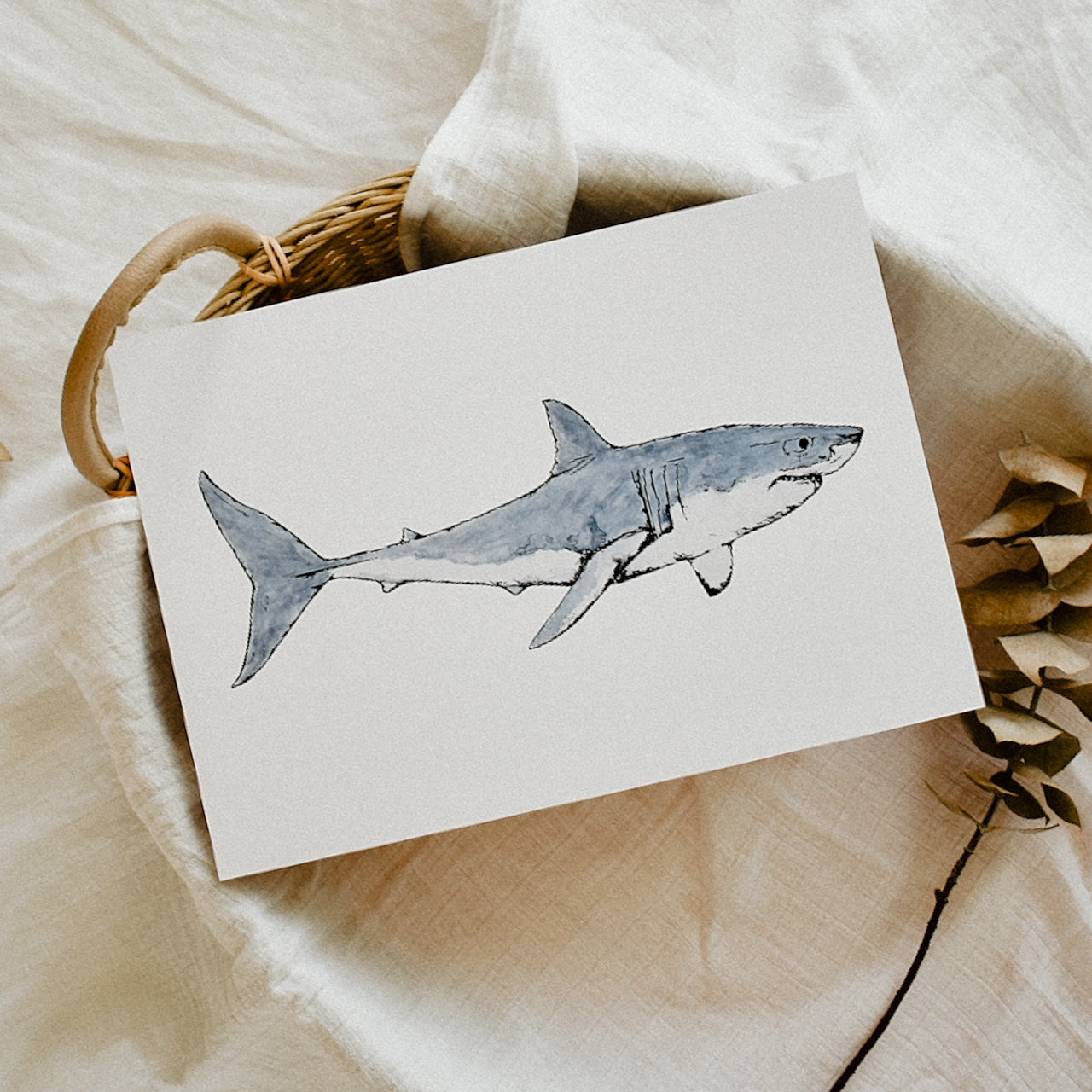Duke the Great White Shark Print
