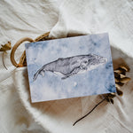 Moby Dick Whale Illustration
