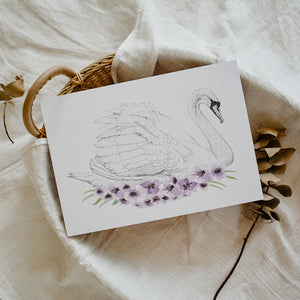 Odette Swan Illustration