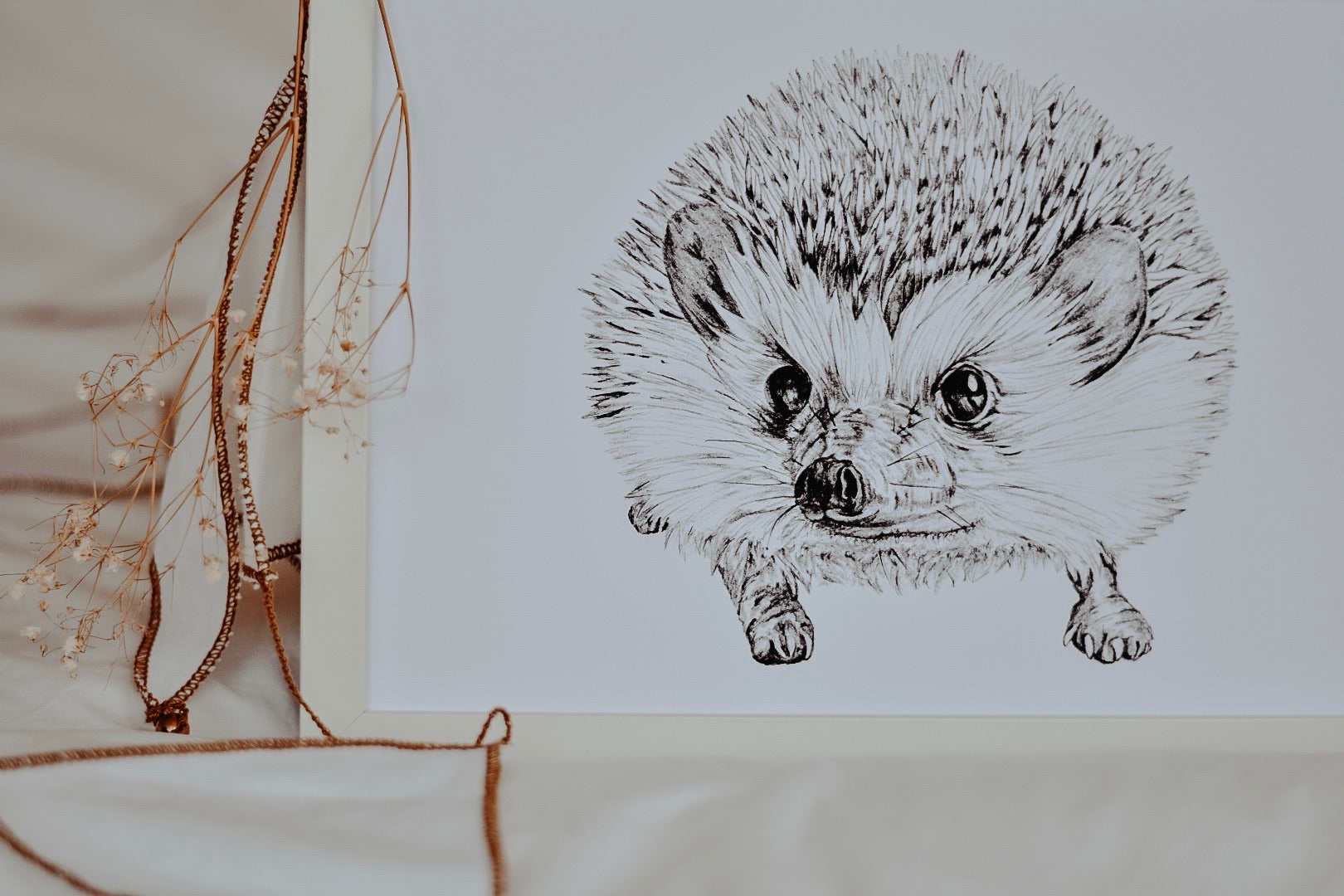 Hedgehog Drawing Images  Browse 42198 Stock Photos Vectors and Video   Adobe Stock