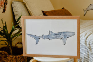 Anouska the Whale Shark Print