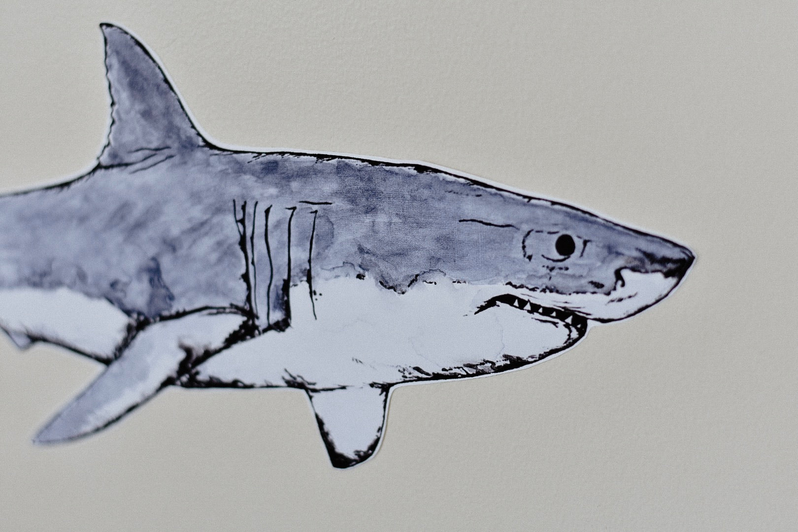 Duke the Great White Shark Fabric Wall Decal - Separate