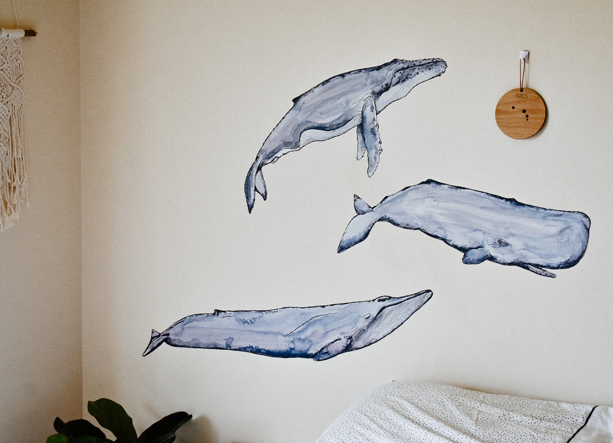 From the Deep Whale Collection - Fabric Wall Decals
