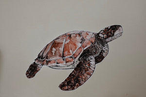 Umi the Green Sea Turtle - Fabric Wall Sticker - Separate