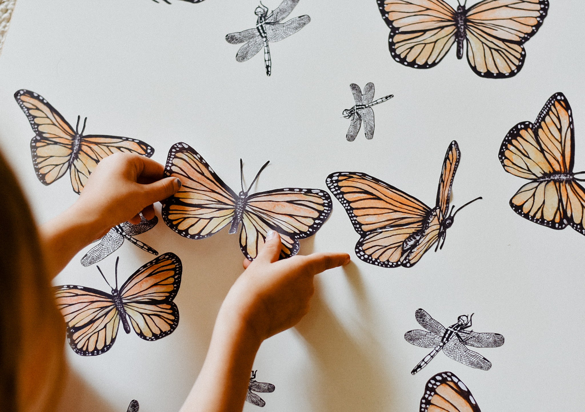 "Follow the Sun" Butterfly Collection - Fabric Wall Decals