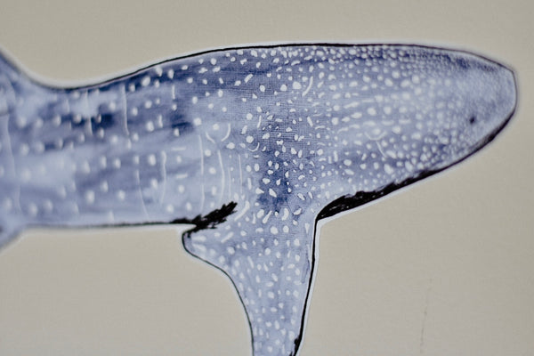 Whale Shark Print (Coloured) | Fine Art Print – Elk Draws