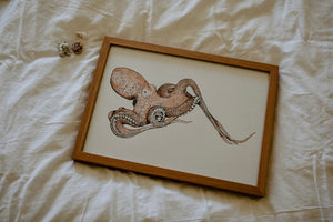 Occy the Octopus Print