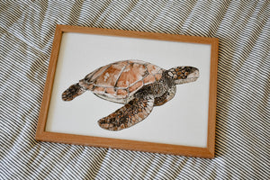 Umi the Green Sea Turtle Print