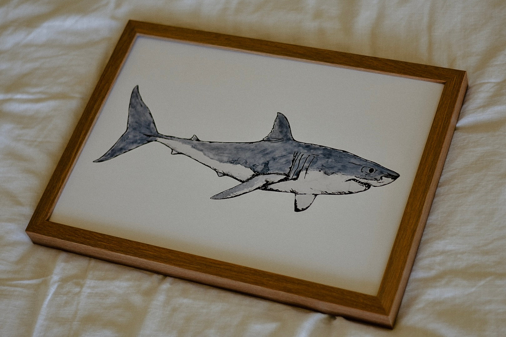Duke the Great White Shark Print